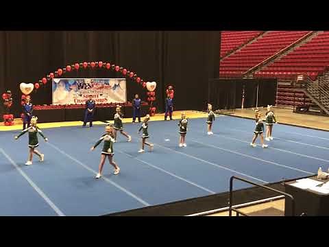 Cheer Competition Junior Pee Wee Team