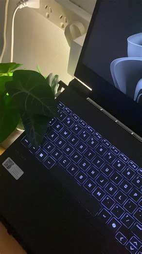 Cameraman Reveal: Capturing the Magic Behind the Scenes