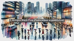 Discovering Antigua and Barbuda: Top 10 Native Flora