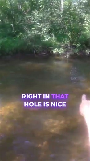 The Perfect Trout Stream #shorts