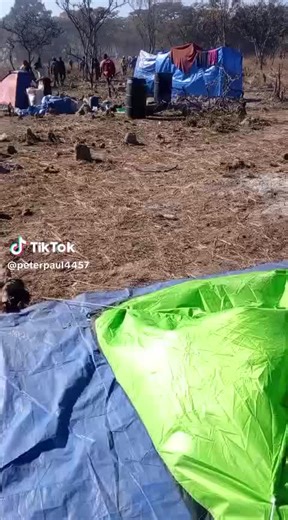 yourz boy the music producer (@djyouzboy)’s videos with original sound - yourz boy the music producer