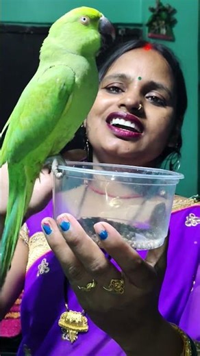 mitthu ke nind a rahi hai 🦜🦜🦜🦜🦜🐦 parrot#YouTube#viral#short#video