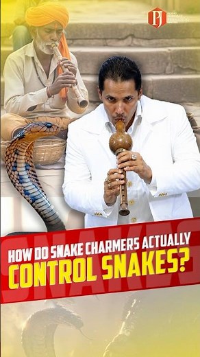 How do snake charmers actually control snakes?