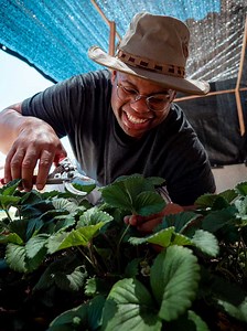 Clone your plants 🌱🌱 | USA TODAY Video