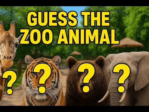 Guess the Zoo Animal Challenge! | Fun Animal Quiz for Kids