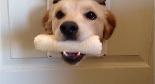 Is this where the party's at? | America's Funniest Home Videos