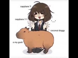 Capybara? Coconut doggy?