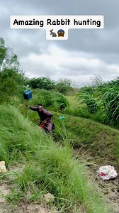 181K views · 291 reactions | Amazing Rabbit hunting  #hunting #viralvideochallenge #reels #rabbit #rabbits #rabbithunt #farming | Farmer hunter | Facebook