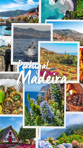 🌺 Madeira, ook wel het “Hawaï van Europa” genoemd 🌋🌴 Van adembenemende kliffen tot tropische tuinen en dolfijnen op zee – dit bloemeneiland verrast elke reiziger. 👉 https://cutt.ly/BE-Madeira 🌺 Madère, surnommée le « Hawaï de l’Europe » 🌋🌴 Entre falaises spectaculaires, jardins tropicaux et dauphins en liberté… cette île fleurie ne cesse d’émerveiller. 👉 https://cutt.ly/BE-Madere | Corendon