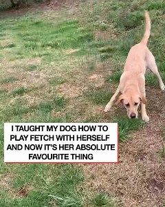 Hey happy little feet 🥺🥺🥺 | LADbible