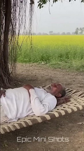 Cheetah Sits Beside Sleeping Old Man🐆👴🌳