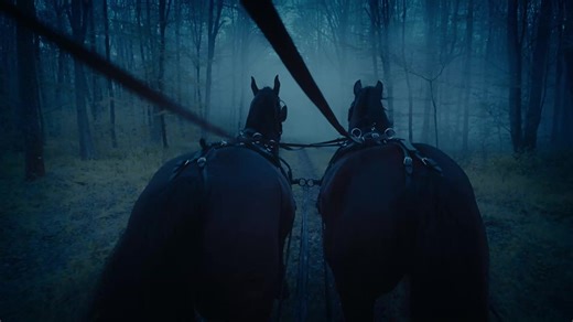 Power, rivalry, scandal, and war collide as three U.S. presidents — and two unforgettable first ladies — shape a fragile nation from inside the walls of a freshly built White House. Coming exclusively to Fox Nation February 6th: 'The White House' | Fox Nation