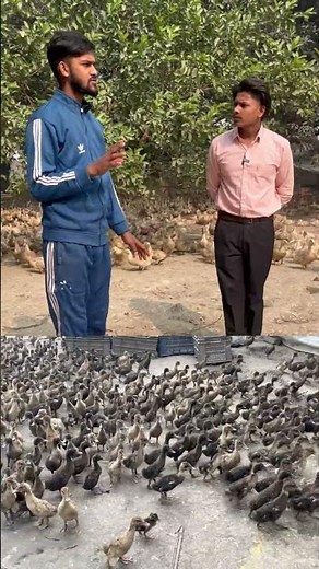 #duckfarming #desimurghi #plz_subscribe_my_channel