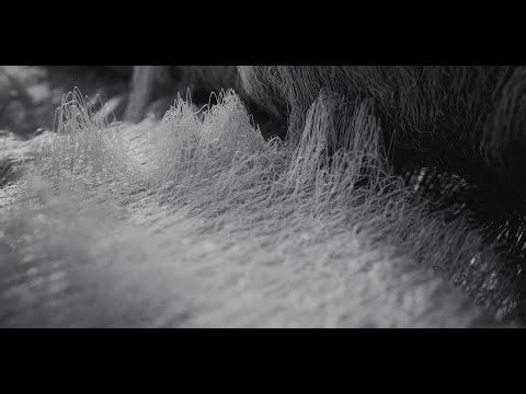 Houdini-Knit 动态设计，商业广告案例教程。