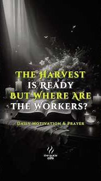 The Harvest is Ready – But Where Are the Workers? | Powerful Prayer for Kingdom Laborers | Matt 9:37