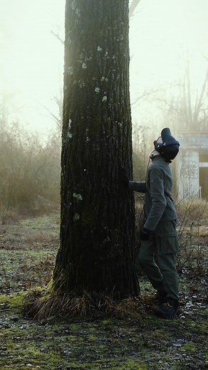 Discovering Woodpeckers Drumming Inside a Tree