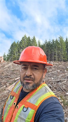 #viral #forest | Forest Video