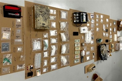 Novato mom arrested with her son at suspected drug house