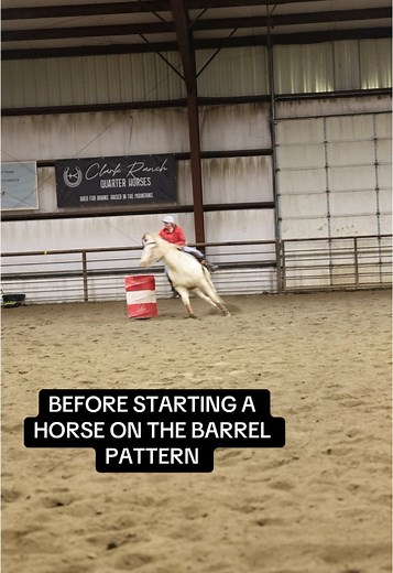 Essential Horse Riding Tips: Preparing for the Barrel Pattern