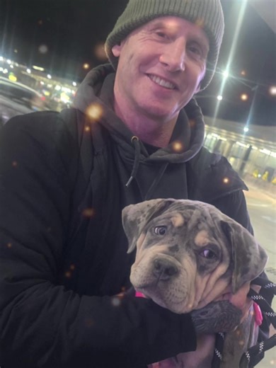 Safe and Compassionate Pet Transportation Services