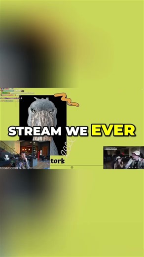 The Funniest Zebra Sounds & Speech Debate #shorts