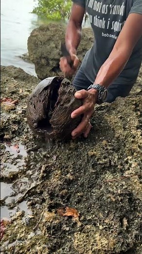 Incredible Catch! 😮 Catching Fish Using a Coconut Shell! 🥥🐟