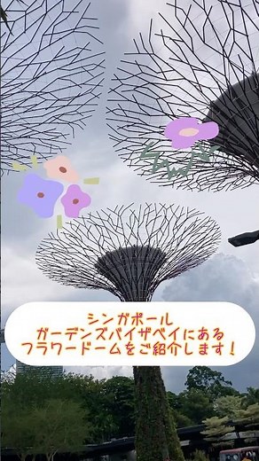 【シンガポール】ガーデンズバイザベイ・フラワードーム
