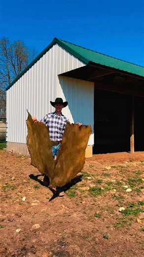 16K views · 5.7K reactions | I am a full time rawhide and leather braider, come into my workshop and see some of my process! #leathercraft #leatherwork #leathercrafts | Scott Gore Rawhide | Facebook