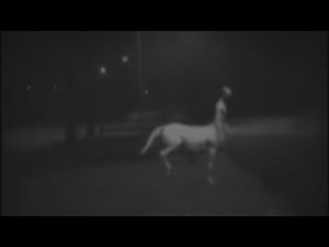 Top 10 Proof centaurs are real two real live centaurs caught on camera horseman Centaurus exposed