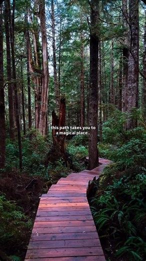 Ahous Adventures | Tofino, BC Canada on Instagram: "📍hot springs cove, tofino, bc these are natural hot springs in a cove along the ocean, and these springs have been used for centuries by the Ahousaht Nation for their medicinal and spiritual benefits. i took a tour with @ahous_adventures and i highlyyyy recommend it if you're planning a trip to Tofino this Spring. 🌱 - @meghanorourkee #hotsprings #tofino #vancouverisland #bc #explorebc #hotspring"