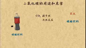 10. 二氧化碳的用途及危害