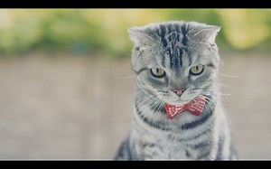 664K views · 919 shares | Ihr kennt das sicher: man sucht etwas ganz...