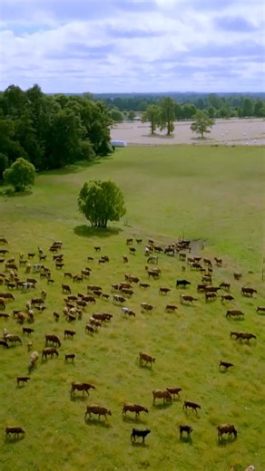 9.3K views · 55 reactions | ¡Pronto! Ya llega a Mega ¿A qué costo?  Un programa que en simple nos cuenta cómo podemos cuidar el planeta y sumar para un futuro mejor. ♻️ Fernando Godoy es el hombre que nos sumergirá por apasionantes maneras de salvar la Tierra. Desde este sábado 6 de septiembre, a partir de las 15:00 horas. ¡Imperddible! ✨ | Mega.tv | Facebook