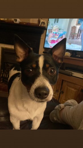 Amanda (@amandastringer25)’s videos with 10 Things I Hate About You - Leah Kate