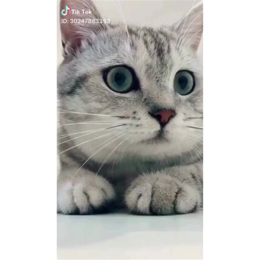 この曲なんにでもあいそう笑