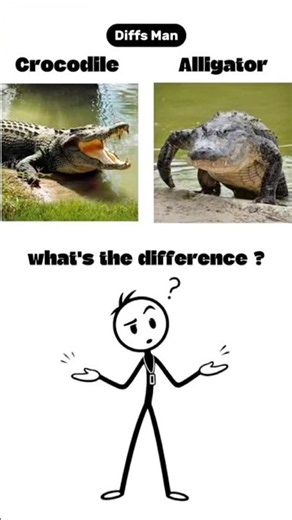 What’s The Difference?