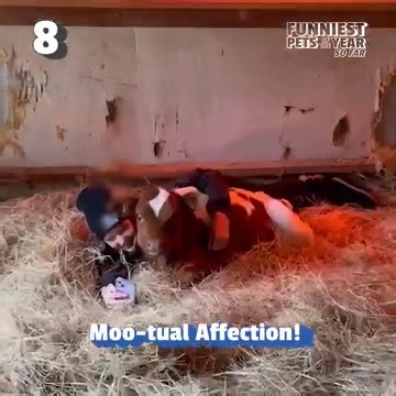 The Pet Collective on Reels