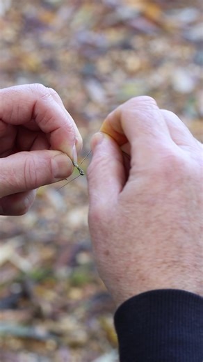 How To Tie A Clinga Slip D Rig… There’s no doubting the popularity of the slip d. In this tutorial @alex_shorrock shows you how to tie his favourite version of the rig utilising our Clinga SP hooks and semi stiff coated hooklink. #thesharpend #trakker #onestepahead #carpfishing #carplife #carpangling #fishing #angling #carpy #thatscarpy #catchandrelease #carpscene #carpfishinguk #carp #fishingislife | Trakker Products