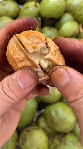 What process are walnuts made from? #shorts