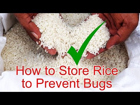How to Store Rice to Prevent Bugs