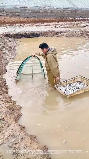 9.9K views | Catch Fish In A Small Pond_0428 | C2 Paris13 | Facebook