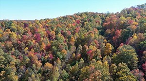 RELAX! Take a few minutes to chill out and enjoy some beautiful aerial footage of southwest Virginia and the gorgeous fall colors and scenery. Enjoy the flight! Destination Bedford Virginia Buchanan County Tourism, VA Experience Russell County, VA Heart of Appalachia Virginia is for Lovers Visit Abingdon VA Visit Wytheville | Bill On The Road