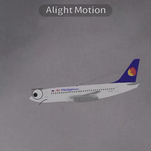 Air Philippines 541 Crash Animation Explained