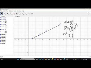 Collinear points on a vector