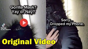 Gorilla Mask Video | Gorilla Mask Original Video | Gorilla Mask Video Tiktok What is The 'Gorilla Mask Video' On TikTok? The Viral Video From TikToker john.mills894 Explained. #GorillaMaskVideo #Gorilla | Daily Trending 24