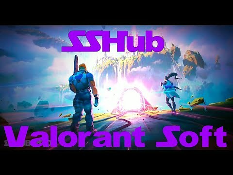 SSHUB | ⚡VALORANT DLL INJECTOR 2025 ⚡ | ESP + WH + 100% UNDETECTED