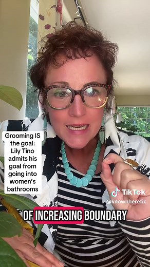 Grooming IS the goal. Clip of Lily Tino admitting his Disney selfie bathroom goals! Grooming = Normalization desensitization of increasing boundary violations. Good men stay out so bad men STAND OUT. Lily Tino is standing out!