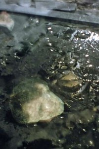 Faces of Death - Movie