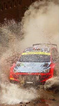 Capture All The Action With The Canon EOS-1D X Mark III - #Shorts