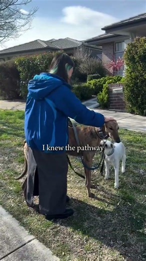 Play this song so Australia feels like a movie 🇦🇺 Much Love, Le Ann☁️🌷 ʜᴀᴠᴇ ᴀ ꜰʟᴏᴡᴇʀ ᴘʟᴇᴀꜱᴇ